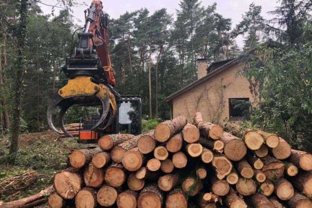 Specialist in tree uprooting Westerwolde