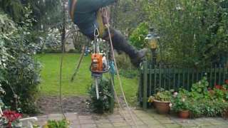 bomen rooien,vellen,kappen,bomen snoeien,knotten Hulsel, Eersel, Hilvarenbeek,  met klimtuin en klimlijnen