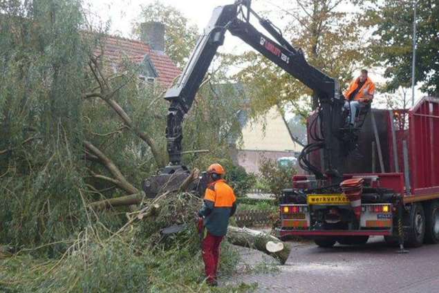 bomen rooien,kappen,snoeien ,ellen kandalaberen hoge bomen inkorten hoe veilig ? Zwijndrecht, Wijchen, Andel, Etten-Leur, Groot Ammers, 