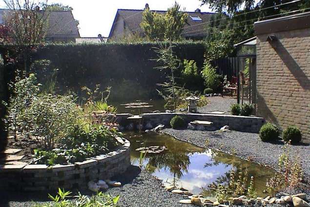 watertuin met japanse lantaren op de voorgrond een notenfagus betonsteen 20*30*6 antrasiet als grondkering en waterval