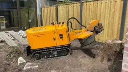 images/-bomenrooien/amstelveen-stronk-verwijderen/verwijderen-van-stronken-in-de-achtertuin-amsterdam-diemen-zwanenburg-257x145-3b2