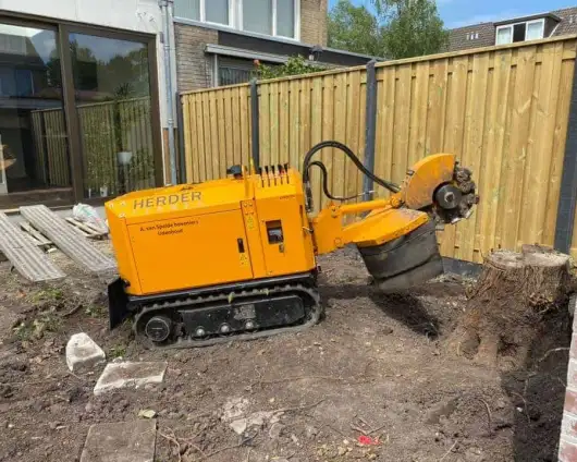images/-bomenrooien/amstelveen-stronk-verwijderen/verwijderen-van-stronken-in-de-achtertuin-amsterdam-diemen-zwanenburg-530x424-e21