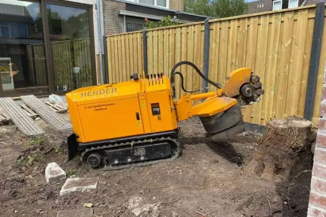 images/-bomenrooien/amstelveen-stronk-verwijderen/verwijderen-van-stronken-in-de-achtertuin-amsterdam-diemen-zwanenburg-635x424-07f