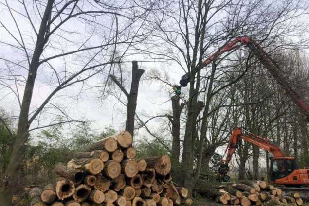 Machinaal bomen rooien in Zwartewaterland  