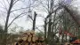images/-bomenrooien/bomen-rooien-07-90x51-c8d