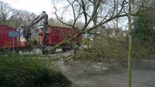 Kosten van het rooien van een boom in  Katwijk  