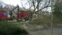 images/-bomenrooien/bomen-rooien-08-90x51-c8d
