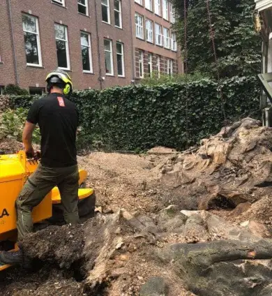 images/-bomenrooien/bomen-rooien-11-390x424-8f9