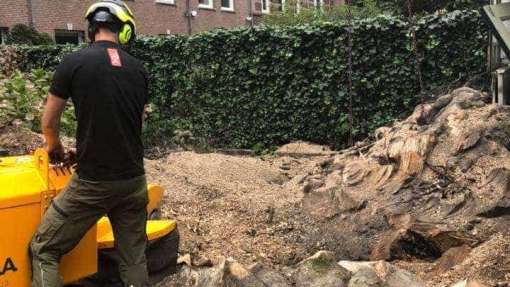 Groene stroom met Bomen rooien in Hilvarenbeek