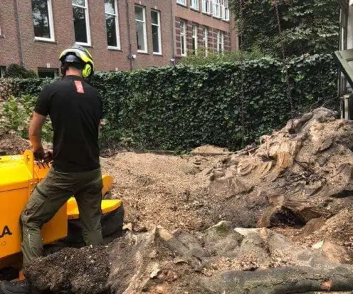 images/-bomenrooien/bomen-rooien-11-510x424-ad3