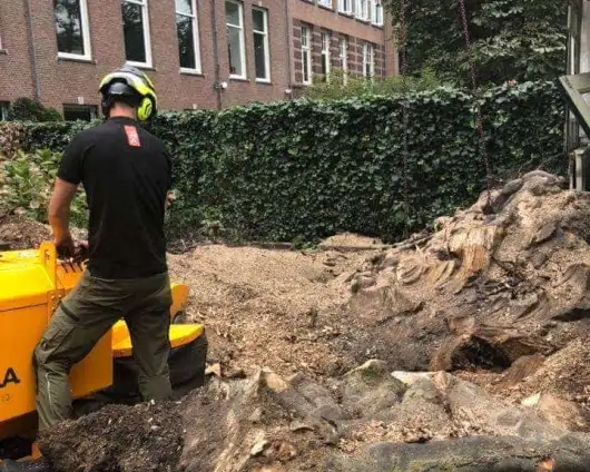 images/-bomenrooien/bomen-rooien-11-530x424-5c2