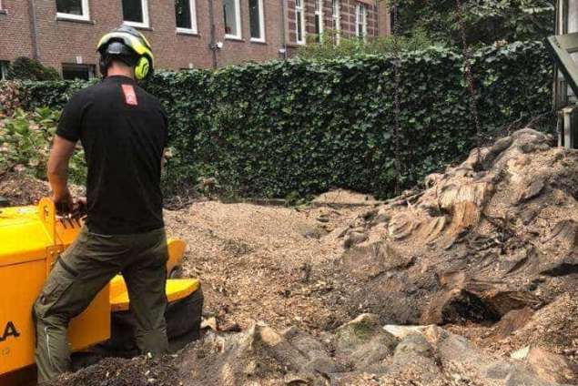 Groene stroom met Bomen rooien in Waalwijk