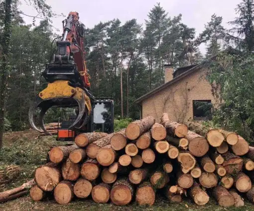 images/-bomenrooien/bomen-rooien-15-510x424-ad3