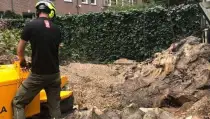 images/-bomenrooien/bomen-verwijderen-11-210x119-65e