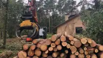 images/-bomenrooien/bomen-verwijderen-15-210x119-ca1