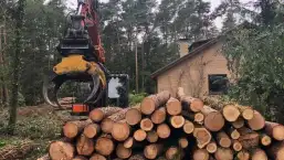 images/-bomenrooien/bomen-verwijderen-15-257x145-adb