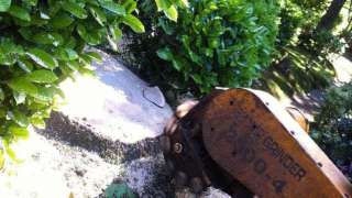 Een boomstronk verwijderen Sluis: hoe werkt dat?