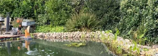 images/-zwemvijvers/01-aanleg-van-zwemvijvers-in-550x197-871