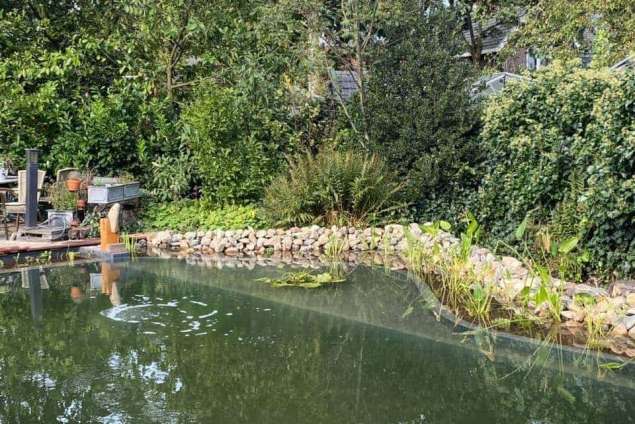 Zwemvijver aanleggen in  Nijmegen