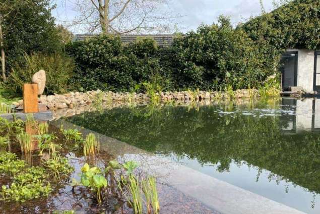 De puur natuur zwemvijver in Hof van Twente