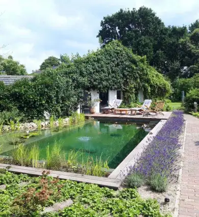 images/-zwemvijvers/04-de-natuurlijke-zwemvijver-390x424-d77