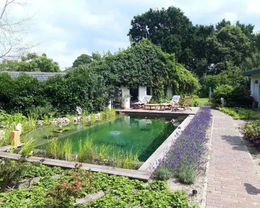 images/-zwemvijvers/04-de-natuurlijke-zwemvijver-530x424-44c