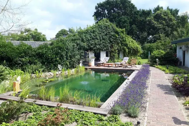 images/-zwemvijvers/04-de-natuurlijke-zwemvijver-635x424-4b8
