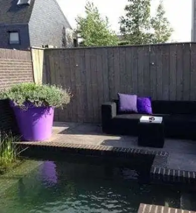 images/-zwemvijvers/05-de-puur-natuur-zwemvijver-390x424-a6e