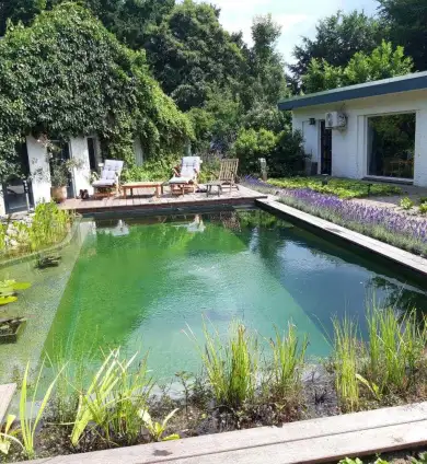 images/-zwemvijvers/06-een-zwembad-in-je-tuin-zwemvijver-390x424-d77