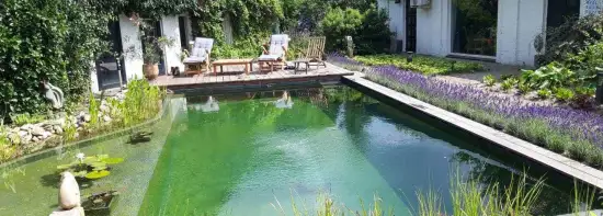 images/-zwemvijvers/06-een-zwembad-in-je-tuin-zwemvijver-550x197-0ac