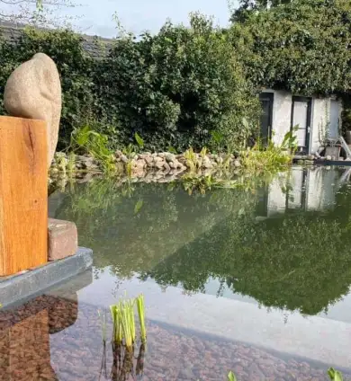 images/-zwemvijvers/09-onderhoud-van-zwemvijver-390x424-a6e