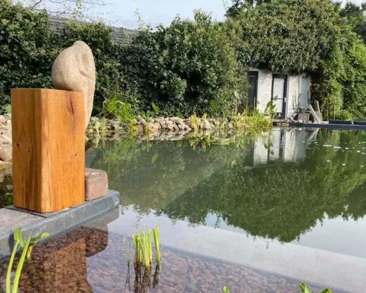 images/-zwemvijvers/09-onderhoud-van-zwemvijver-530x424-47e