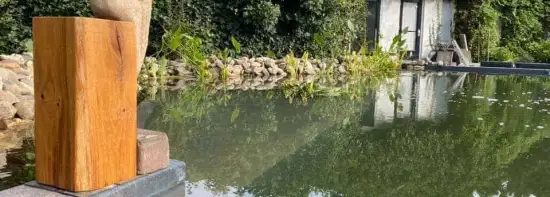 images/-zwemvijvers/09-onderhoud-van-zwemvijver-550x197-871