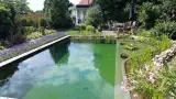 images/-zwemvijvers/10-puur-natuur-zwemvijver-160x90-c38