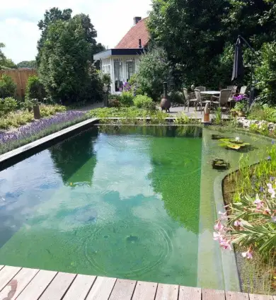 images/-zwemvijvers/10-puur-natuur-zwemvijver-390x424-d77