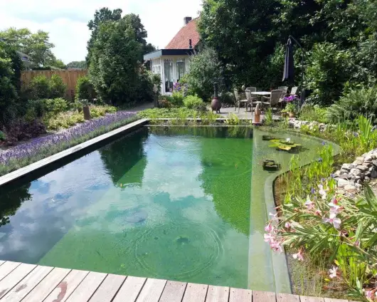 images/-zwemvijvers/10-puur-natuur-zwemvijver-530x424-44c
