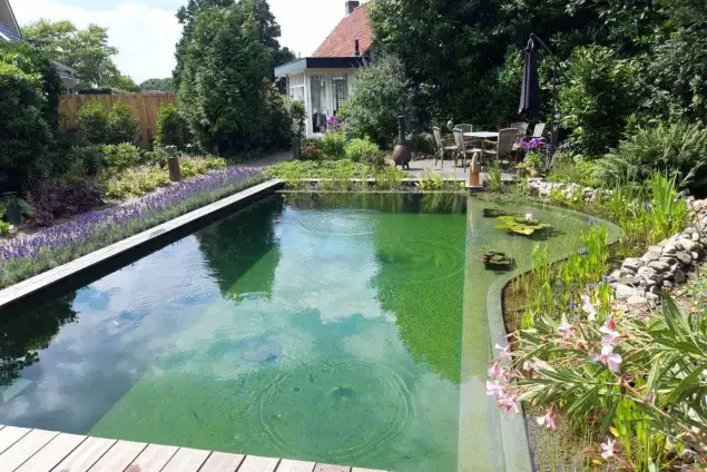 images/-zwemvijvers/10-puur-natuur-zwemvijver-635x424-4b8