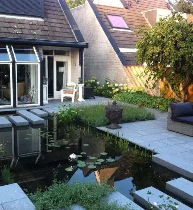 images/-zwemvijvers/11-zwemvijver-aanleggen-390x424-d77