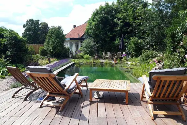 images/-zwemvijvers/14-zwemvijver-zwembeleving-van-natuurlijk-helder-water-635x424-4b8