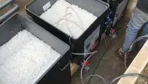 images/-zwemvijvers/zwemvijver-maken-breda-oisterwijk-210x119-848