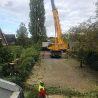 images/0000nieuws/2020/28-8-cuijk-boom-rooien/boom-verwijderen-cuijk-hap-herpen-112-200x200-2be