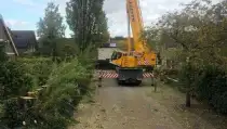 images/0000nieuws/2020/28-8-cuijk-boom-rooien/boom-verwijderen-cuijk-hap-herpen-112-210x119-560