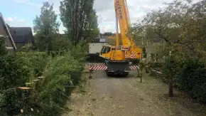 images/0000nieuws/2020/28-8-cuijk-boom-rooien/boom-verwijderen-cuijk-hap-herpen-112-290x163-4b0