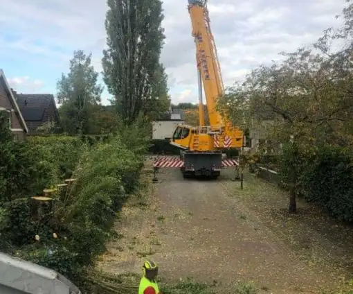 images/0000nieuws/2020/28-8-cuijk-boom-rooien/boom-verwijderen-cuijk-hap-herpen-112-510x424-20c