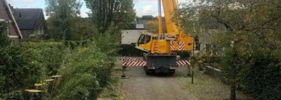 images/0000nieuws/2020/28-8-cuijk-boom-rooien/boom-verwijderen-cuijk-hap-herpen-112-550x197-a7d