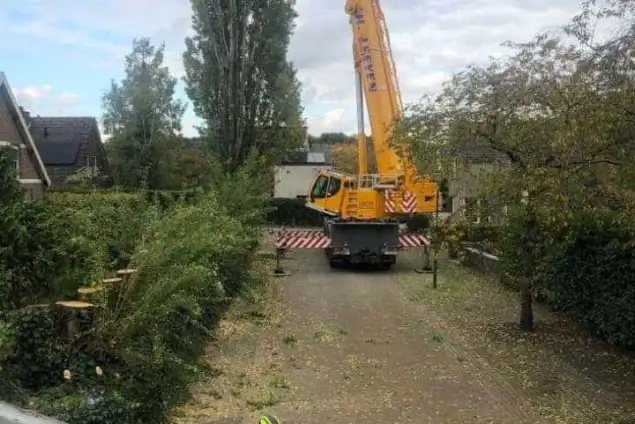 images/0000nieuws/2020/28-8-cuijk-boom-rooien/boom-verwijderen-cuijk-hap-herpen-112-635x424-234