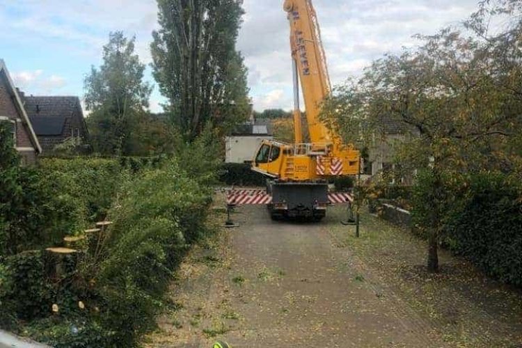 images/0000nieuws/2020/28-8-cuijk-boom-rooien/boom-verwijderen-cuijk-hap-herpen-112-750x500-849