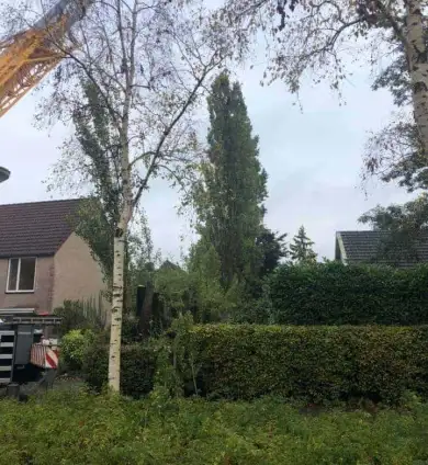 images/0000nieuws/2020/28-8-cuijk-boom-rooien/boom-verwijderen-cuijk-hap-herpen-12-390x424-752