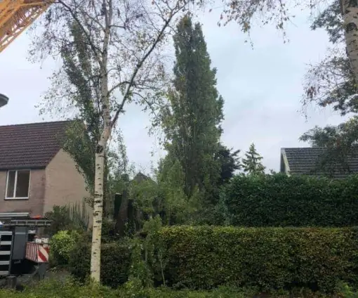 images/0000nieuws/2020/28-8-cuijk-boom-rooien/boom-verwijderen-cuijk-hap-herpen-12-510x424-20c