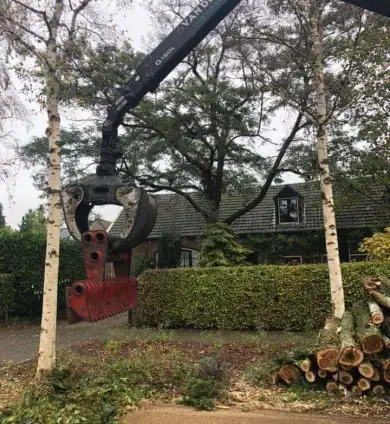 images/0000nieuws/2020/28-8-cuijk-boom-rooien/boom-verwijderen-cuijk-hap-herpen-14-390x424-752